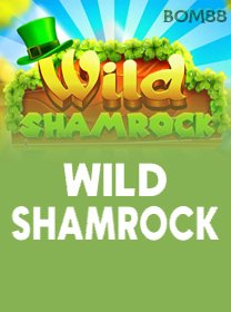 Wild Shamrock